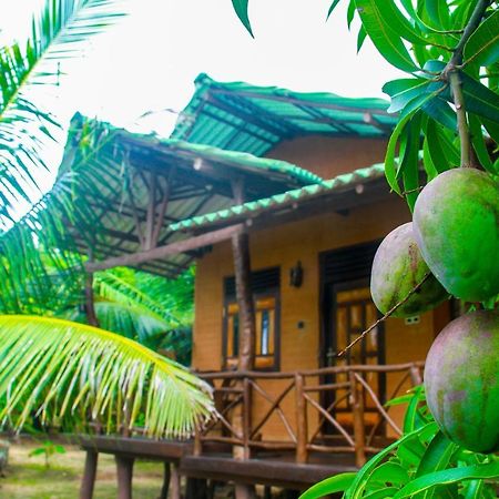 Yalaway Nature Villa 티사마하라마 외부 사진
