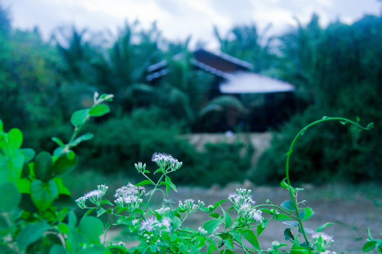 Yalaway Nature Villa 티사마하라마 외부 사진