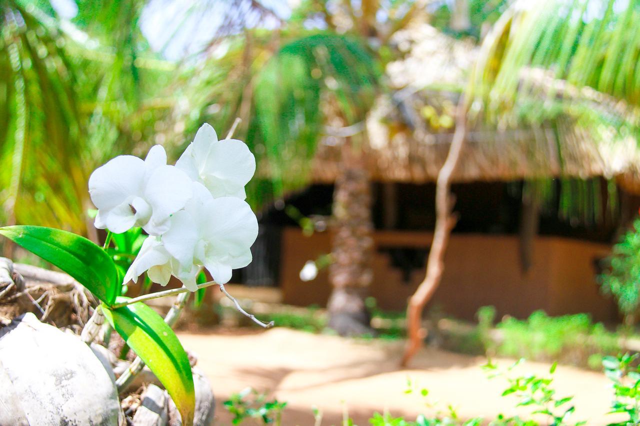 Yalaway Nature Villa 티사마하라마 외부 사진